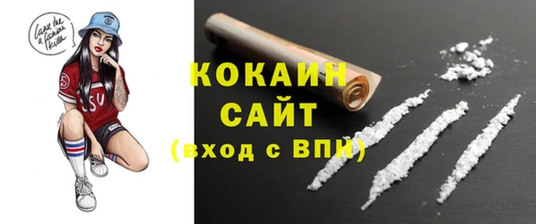 первитин Каменка