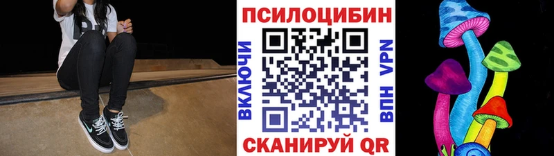 Галлюциногенные грибы Psilocybe  Купить  Фрязино 